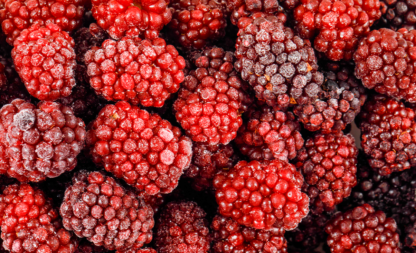 Fruta Congelada - Imagen 3