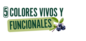Colores vivos y funcionales