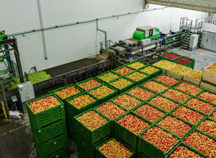 Naturamix-guatemala-industrial-fruta-pulpas-congelados Naturamix-guatemala-industrial-fruta-pulpas-congelados