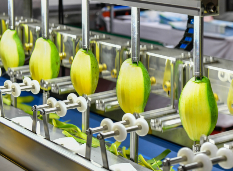 frutas-temporada-empresas-guatemala-salvador-panama frutas-temporada-empresas-guatemala-salvador-panama